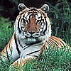 Family Time - Calgary Zoo Passes For a Woman and her Children
